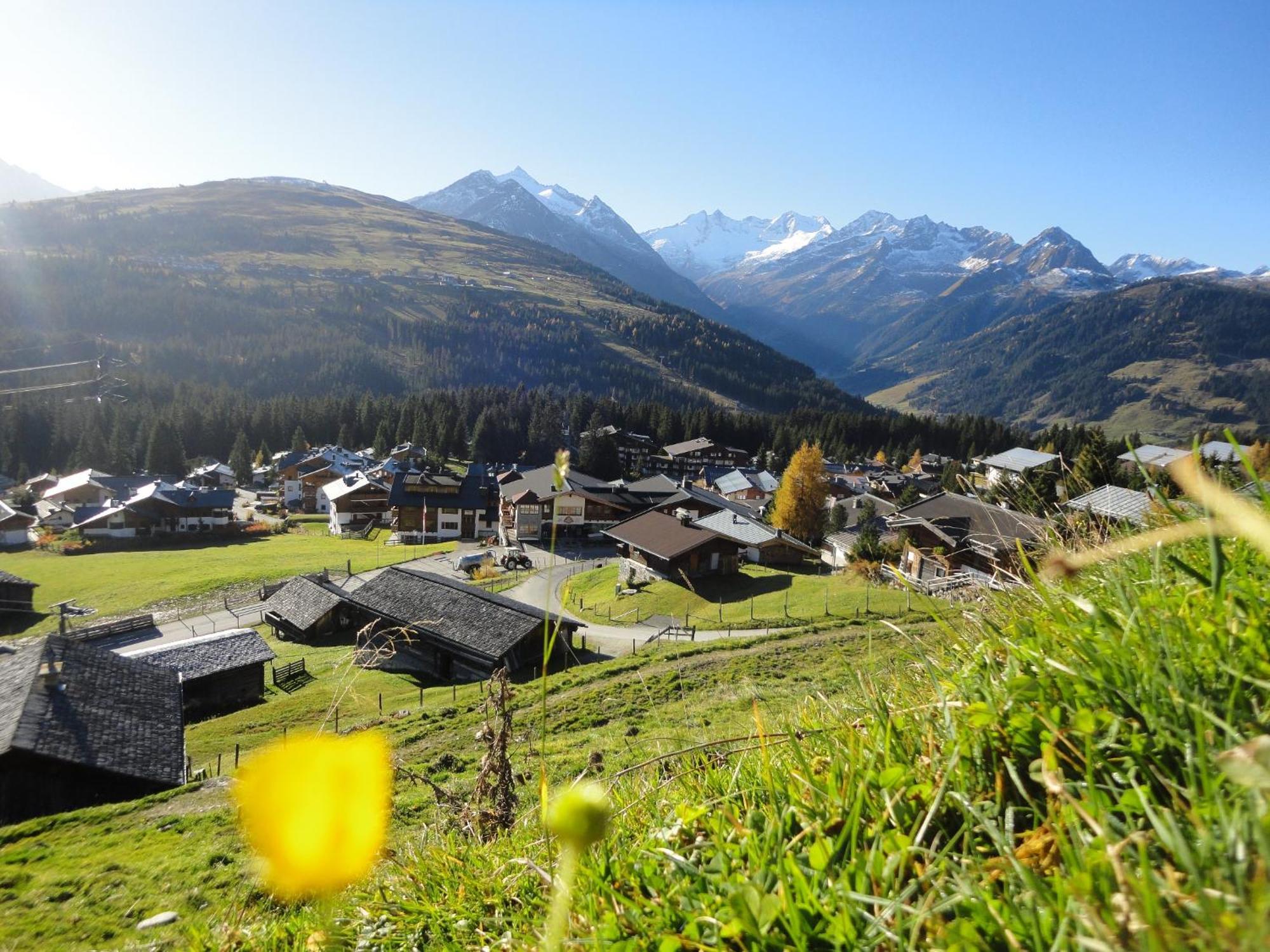 Ferienwohnungen Lang Konigsleiten Exterior foto